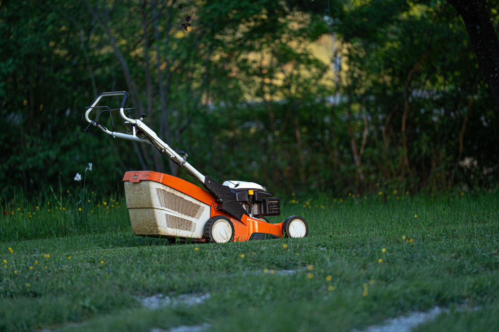 Nyklippet, solfylt plen etter en robotgressklipper uten kantledning