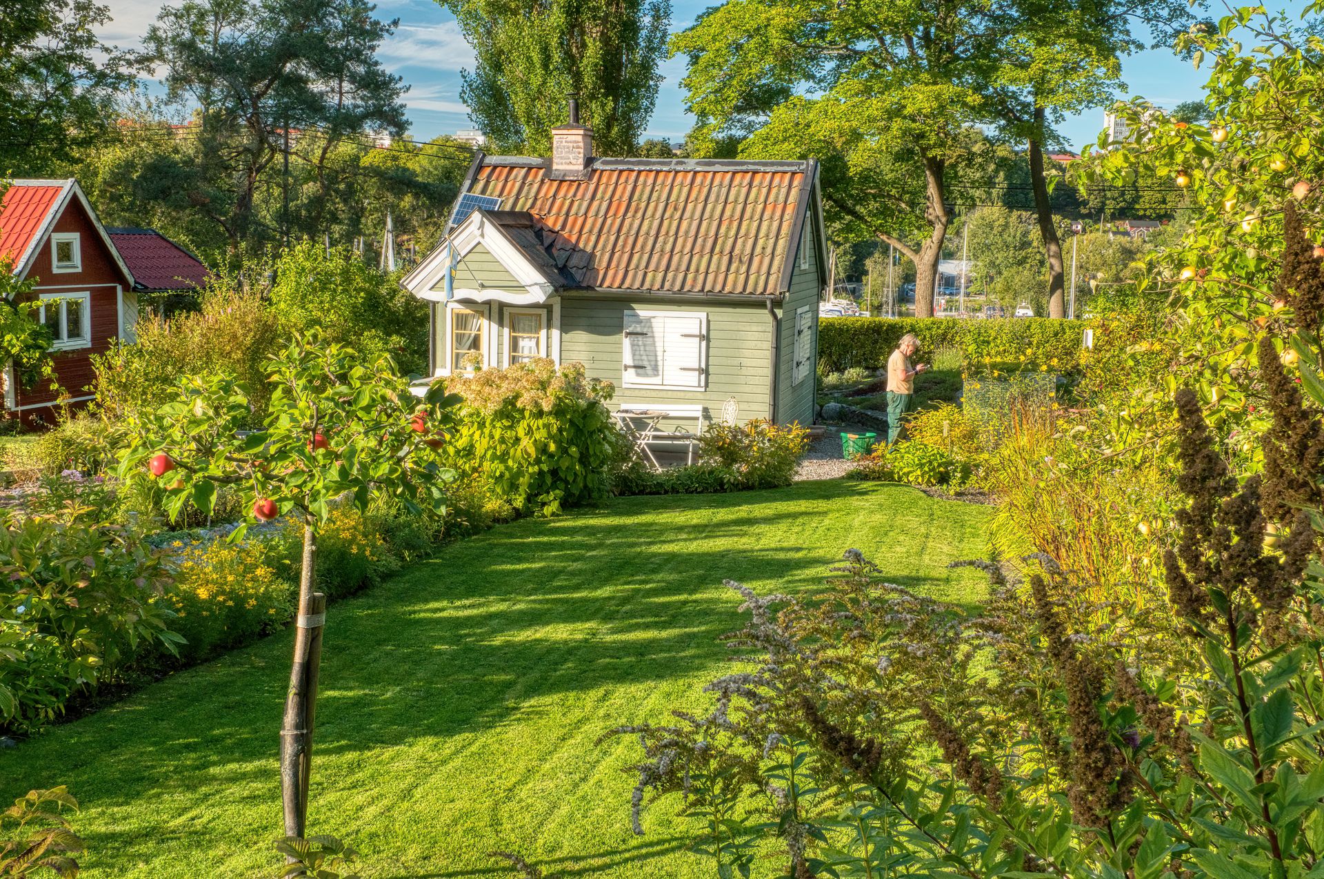 Robotgressklipper på en solrik, velstelt plen foran et hus